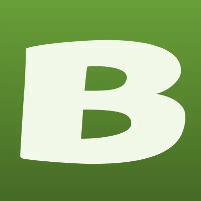 BRAMIS АВТО, лого-визитка
