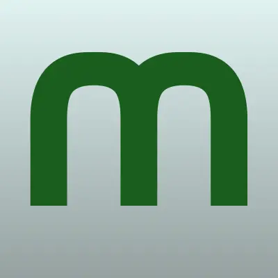 Магазин автозапчастей, ИП Фомина Л.С., лого-визитка